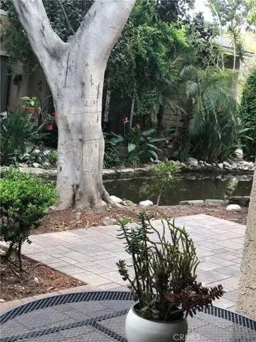 Another view from back patio.