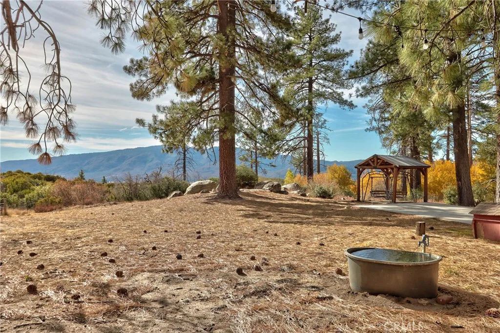 RV Pad in Meadow