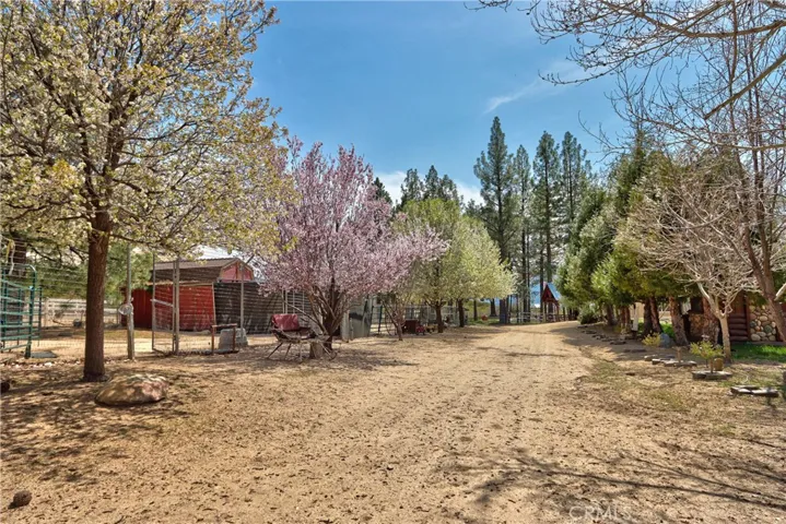 Lane leading to Shed Row Barns, Outdoor BBQ, Men's and Women's Baths, Meadow with RV Pad and Hook Ups