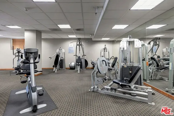 Gym Angle