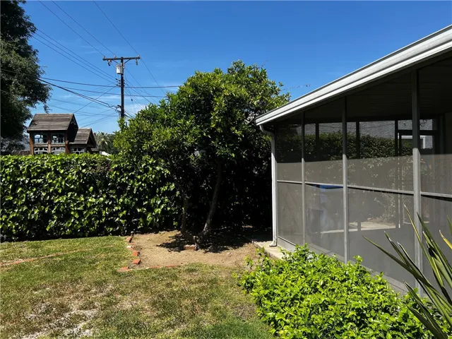 Backyard