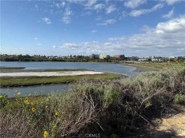 Back bay