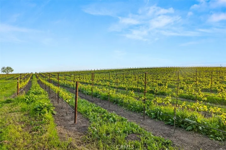 2750 Las Amigas Road, Napa, California 94559