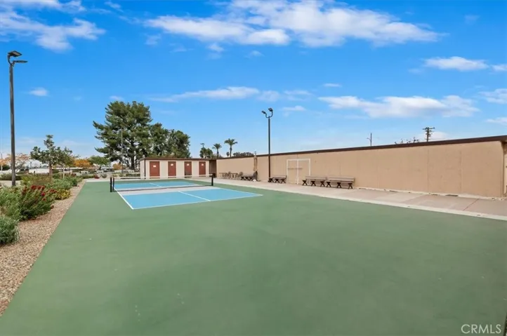 Community Pickle Ball