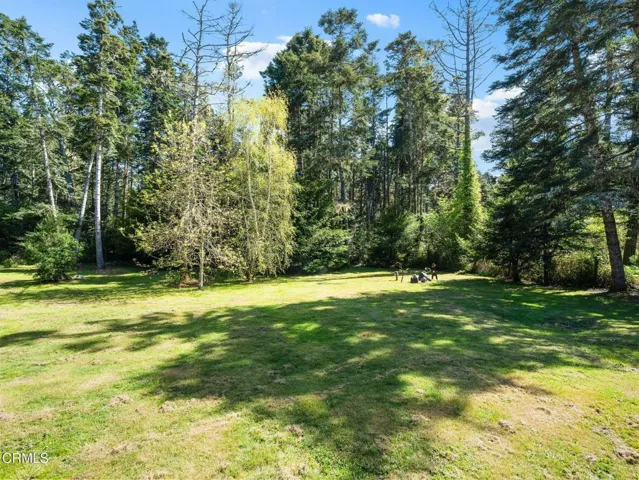 60-web-or-mls-DSC07131