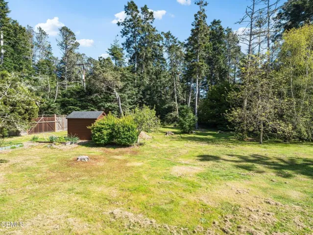 61-web-or-mls-DSC07136