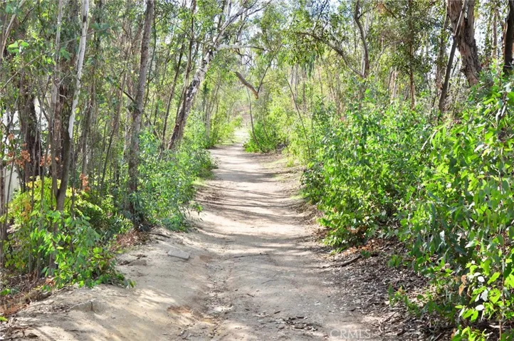 Beautiful trails.