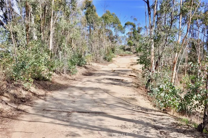 Hiking/biking trails literally around the corner.