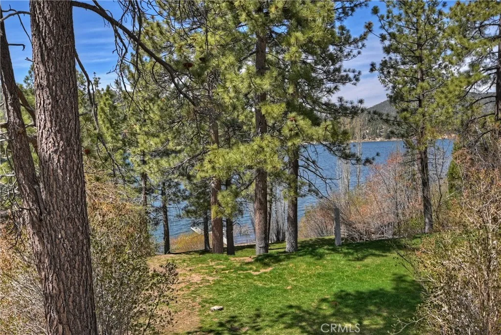 39080 Waterview Drive, Big Bear Lake, California 92315 home-pic-42