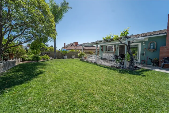 BACKYARD WITH MATURE GRAPE VINES