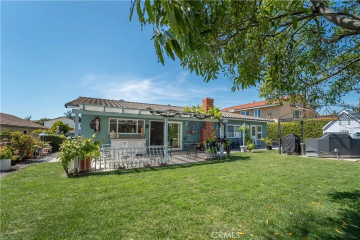 BACKYARD WITH MATURE GRAPE VINES
