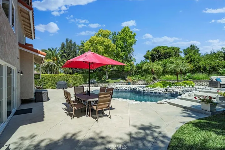 Backyard and Pool