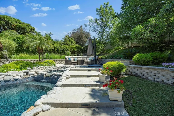 Backyard and Pool