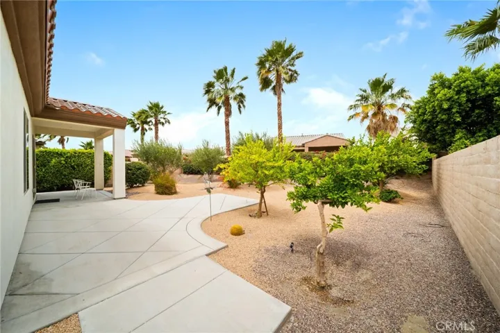 Spacious Backyard with Palm Trees