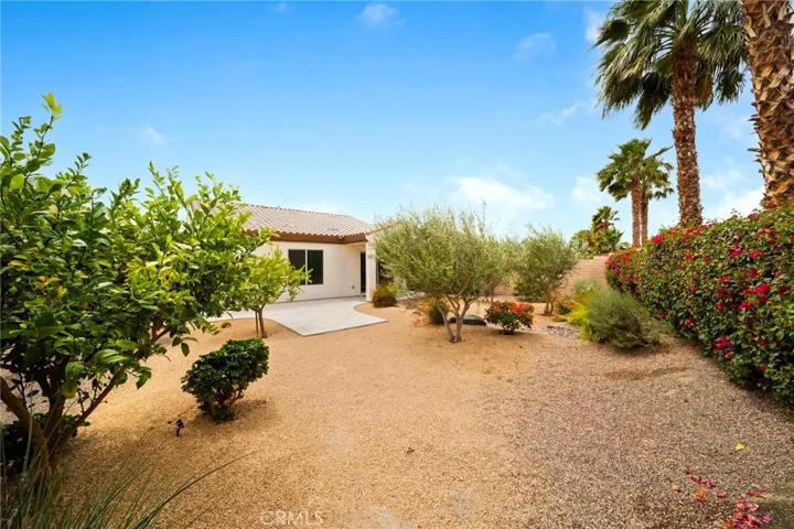 Private Backyard with Desert Landscaping