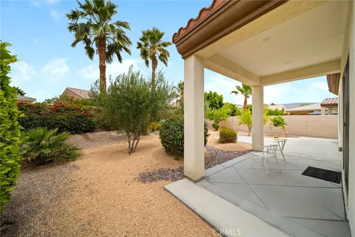 Backyard and Covered Patio