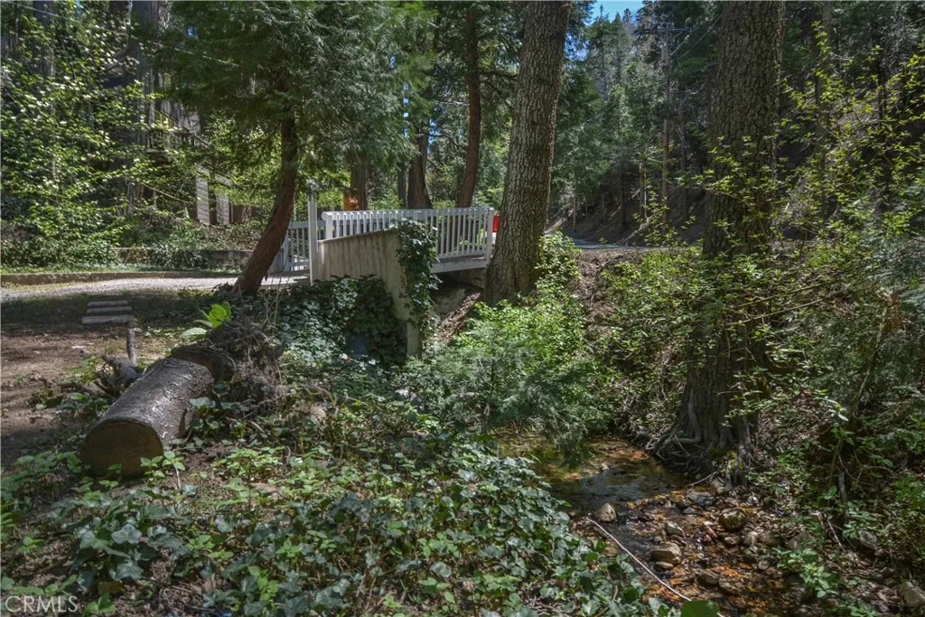230 Fremont Road, Lake Arrowhead, California 92352 home-pic-8