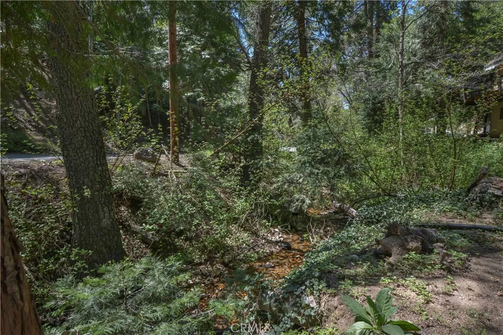 230 Fremont Road, Lake Arrowhead, California 92352 home-pic-14