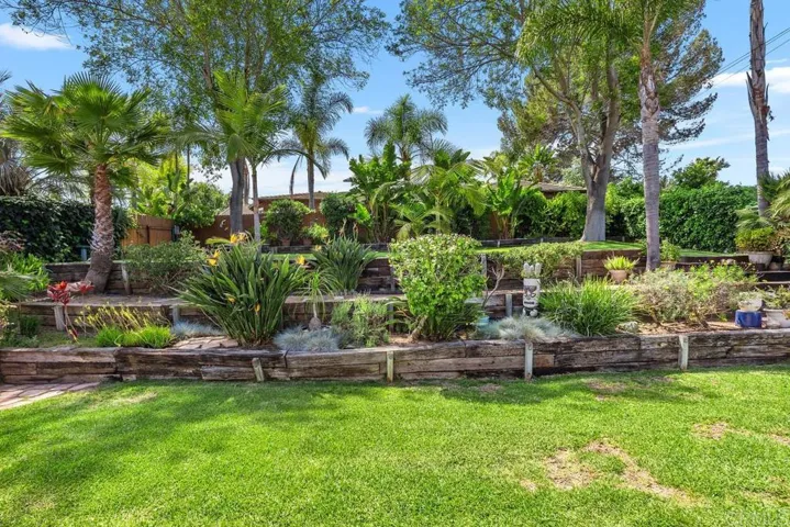 Lush and a lot of room.