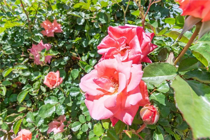 98 Via San Carlos 98, Paso Robles, California 93446