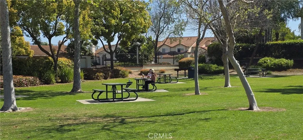Picnic at nearby Shapell Park