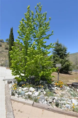 644 Canyon Drive, Lebec, California 93243