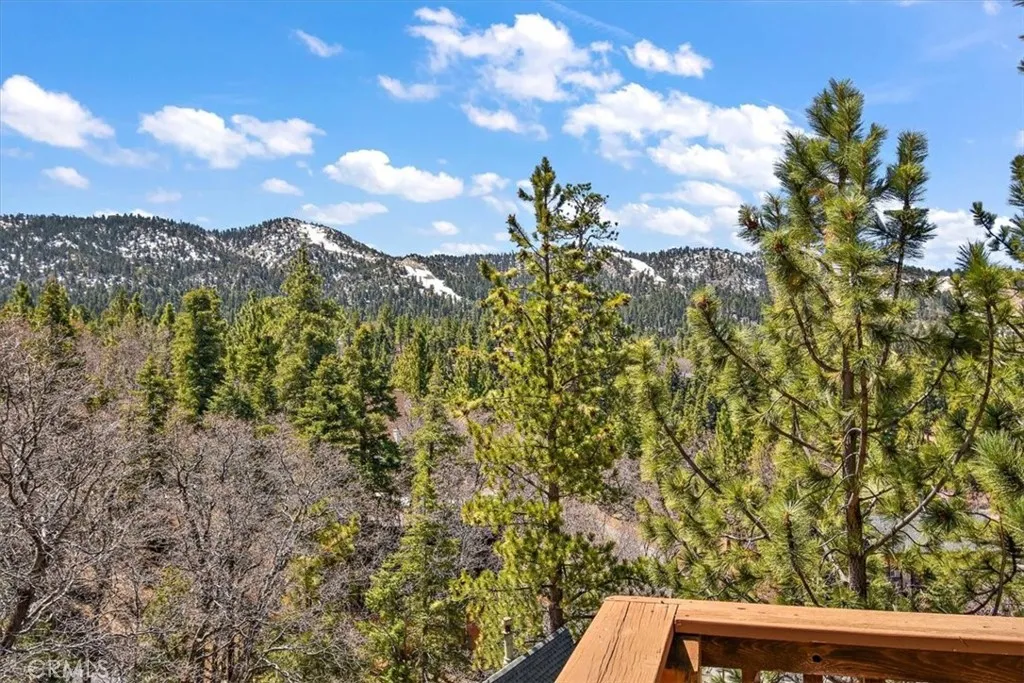 43653 Colusa Drive, Big Bear Lake, California 92315 home-pic-29