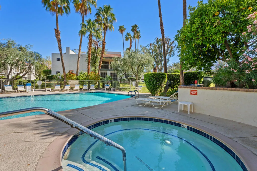 483 E Via Escuela 722, Palm Springs, California 92262 home-pic-3