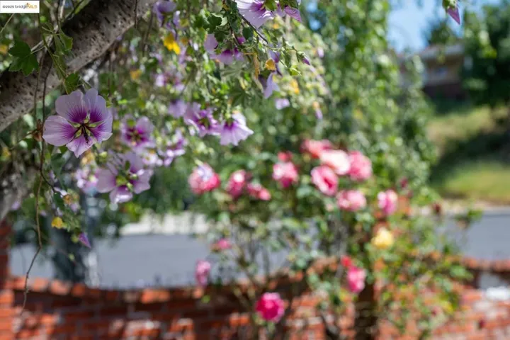 218 Brenda Ct, Pinole, California 94564-1924