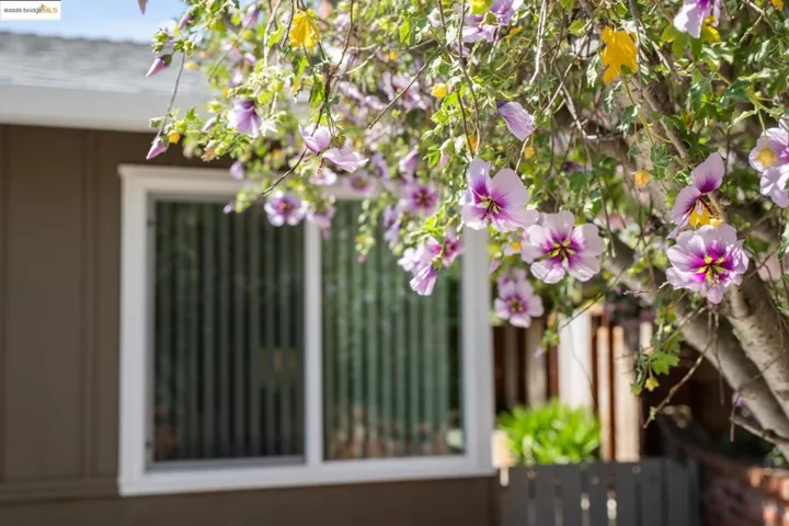 218 Brenda Ct, Pinole, California 94564-1924