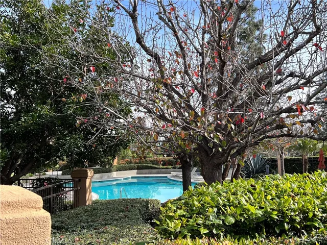 12 Verdin Lane, Aliso Viejo, California 92656