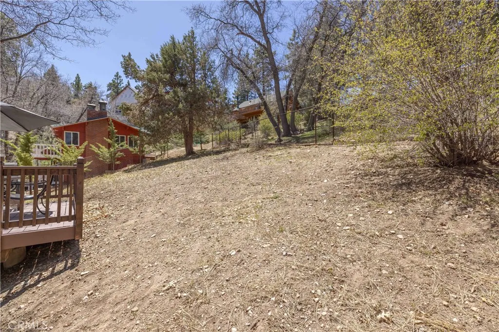 1065 S Minton Avenue, Big Bear City, California 92314 home-pic-31