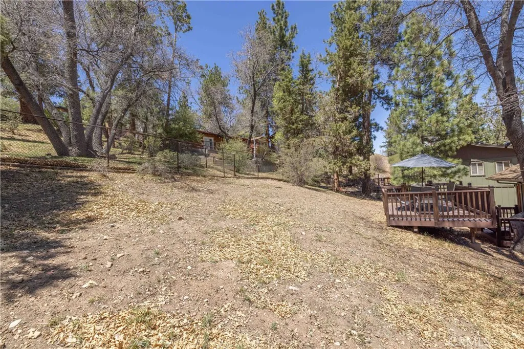 1065 S Minton Avenue, Big Bear City, California 92314 home-pic-30
