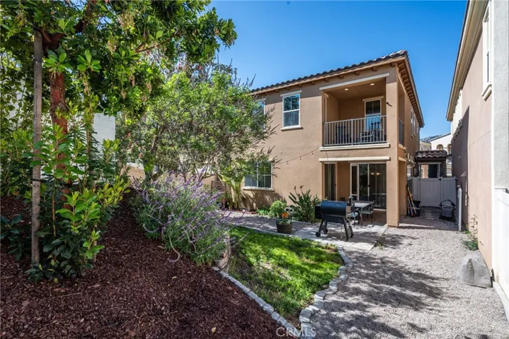 Large Backyard