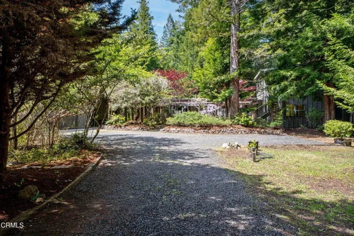 Driveway