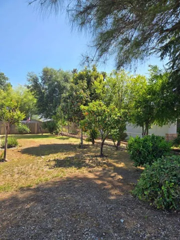 Side Yard