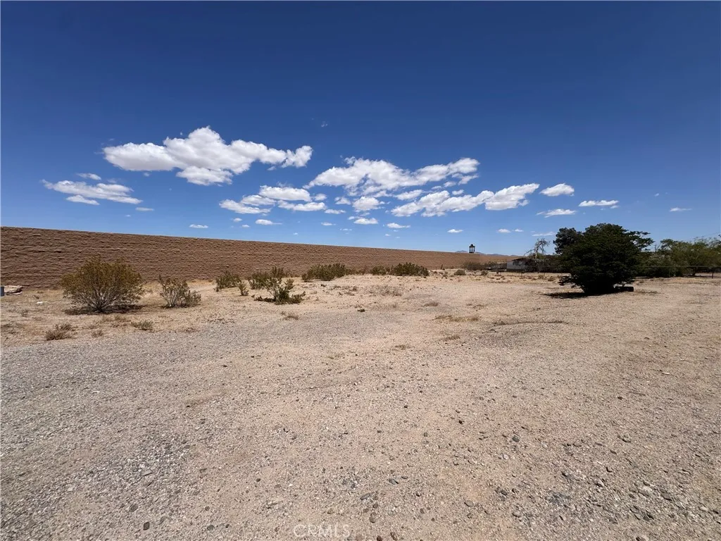 Lot 51