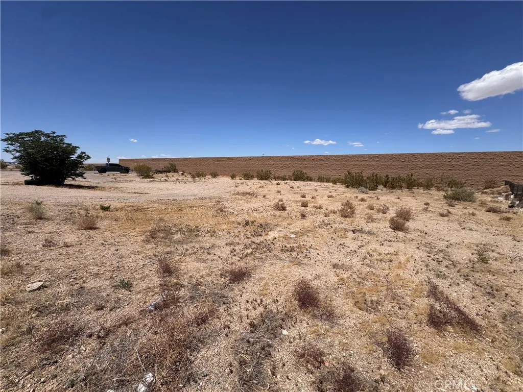 Lot 51