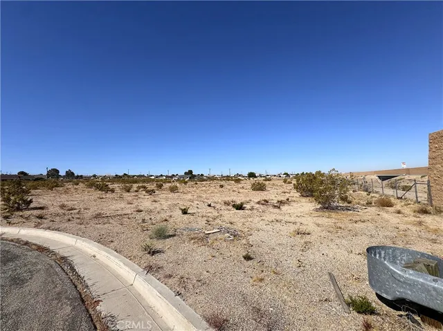 Lot 7