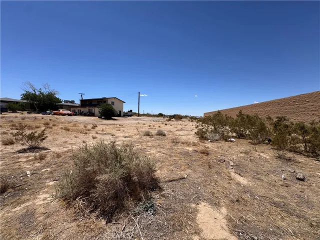 Lot 51