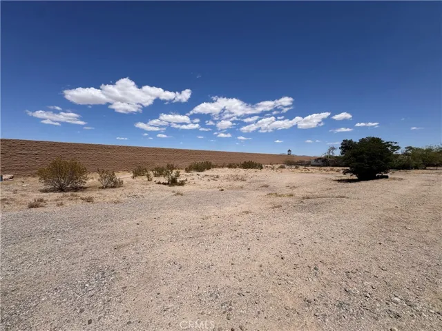 Lot 51