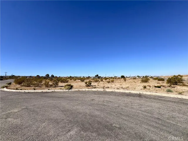 Lot 7