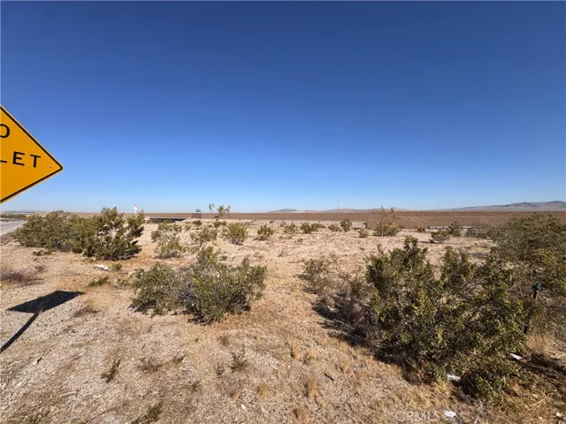 Lot 7