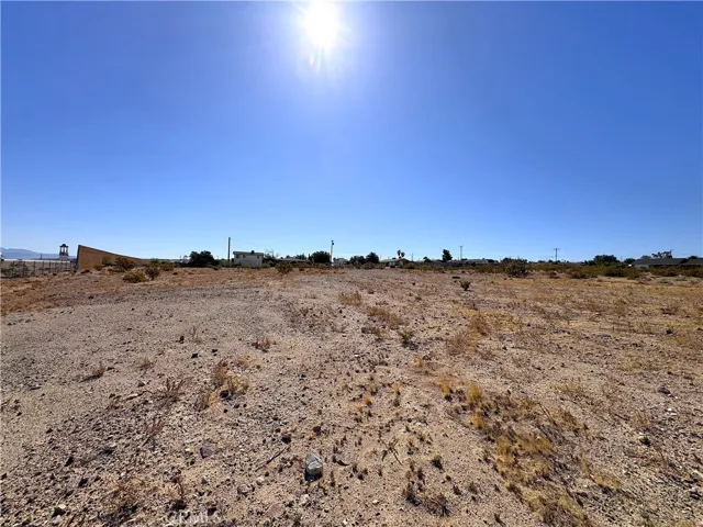Lot 7