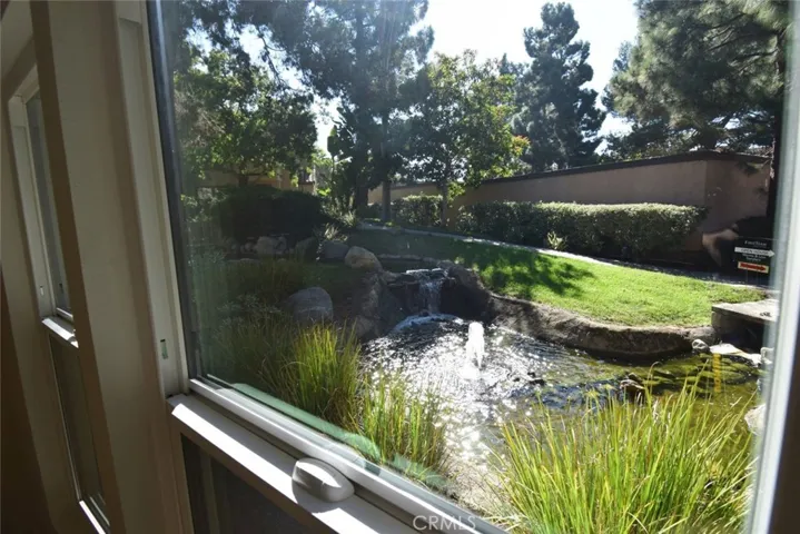 View of Stream from Living Room

