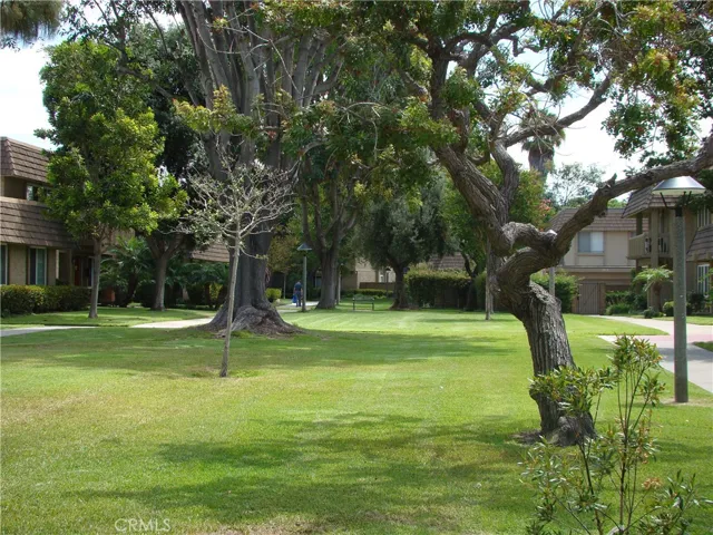Green belt view