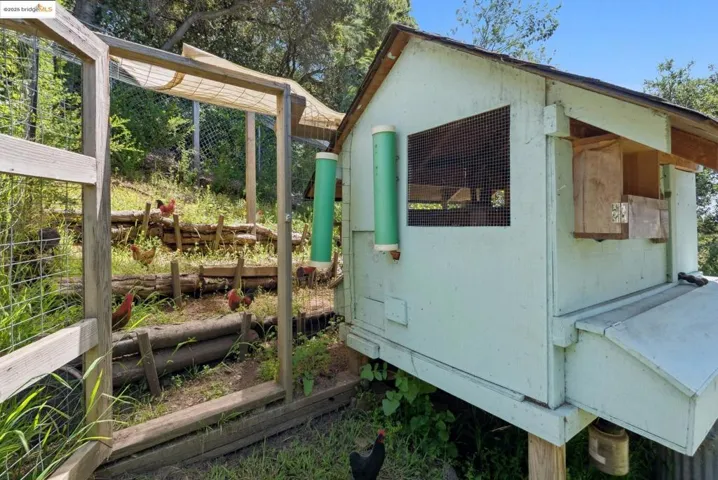 Chicken Coop
