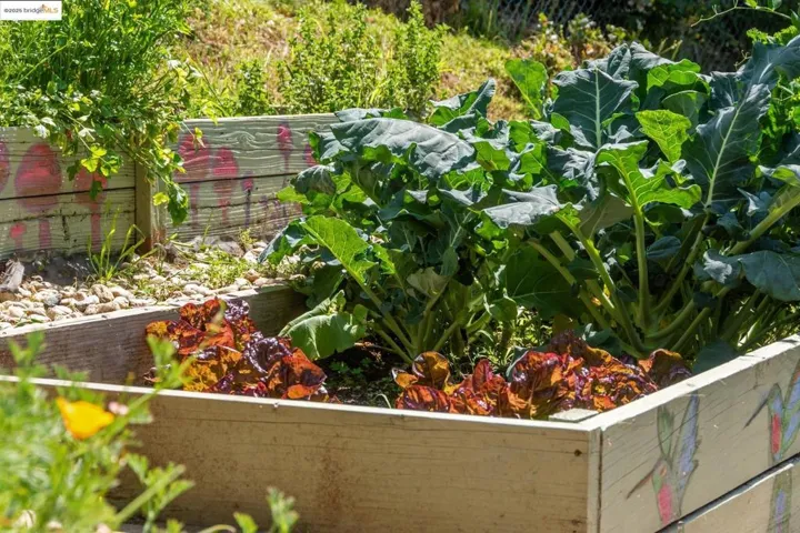 Raised beds