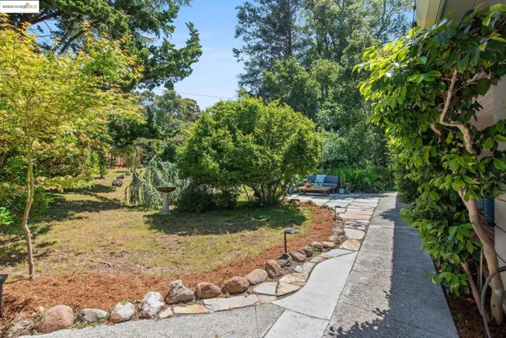 Front Yard