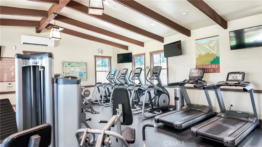 Sycamore Creek Association includes a Gym .